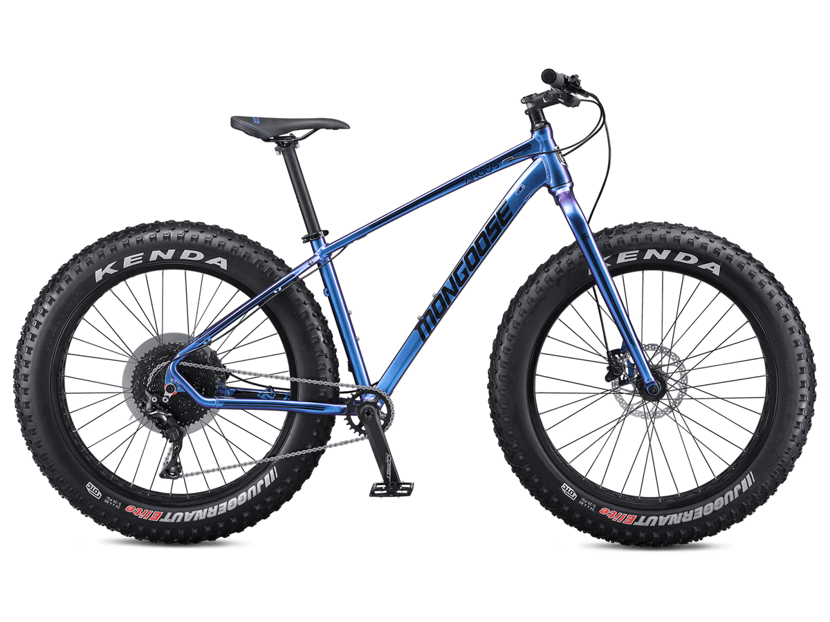 Argus Comp 26in