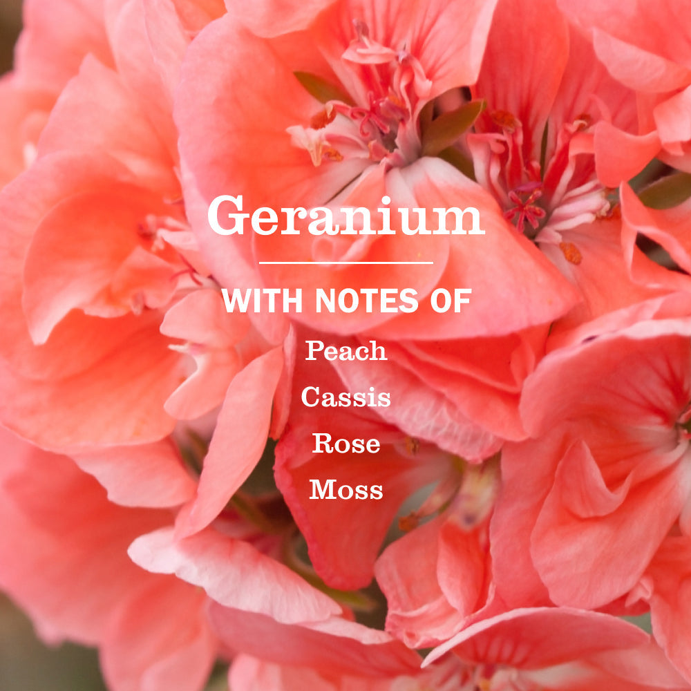 Mrs. Meyer's Geranium Liquid Hand Soap Refill
