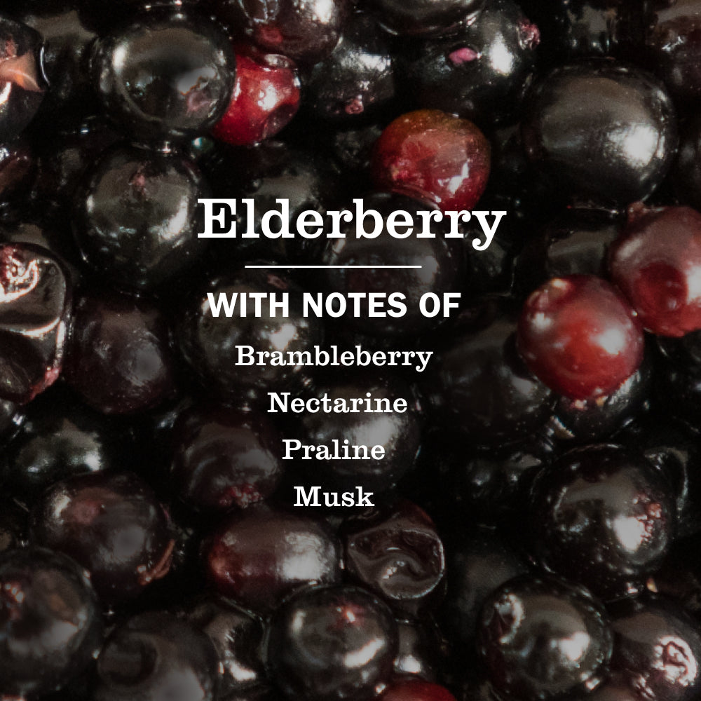 Mrs. Meyer's Elderberry Liquid Hand Soap