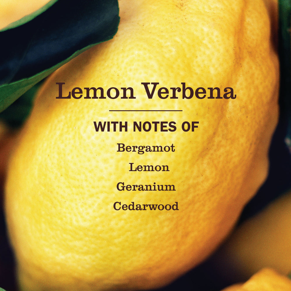 Mrs. Meyer's Lemon Verbena Kitchen Basics Set