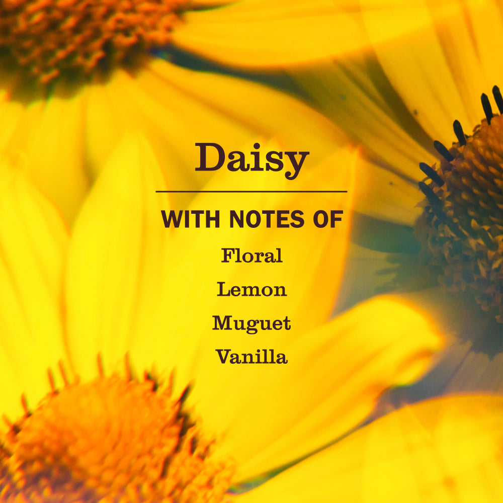 Mrs. Meyer's Daisy Liquid Hand Soap 3-count Bundle