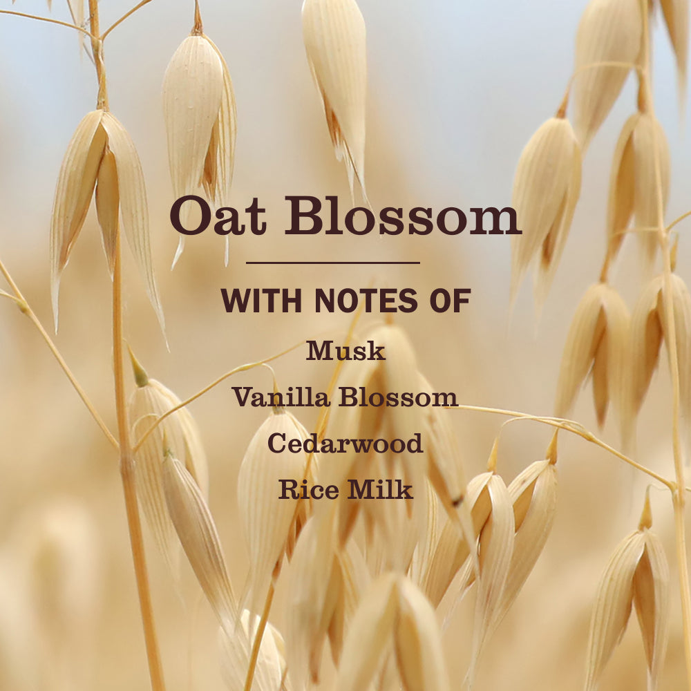 Oat Blossom Liquid Hand Soap &amp; Refill Set