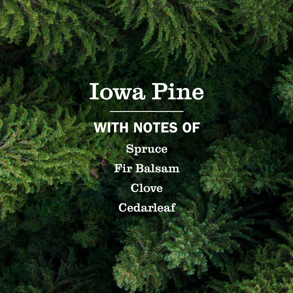 Mrs. Meyer's Iowa Pine Liquid Hand Soap Refill