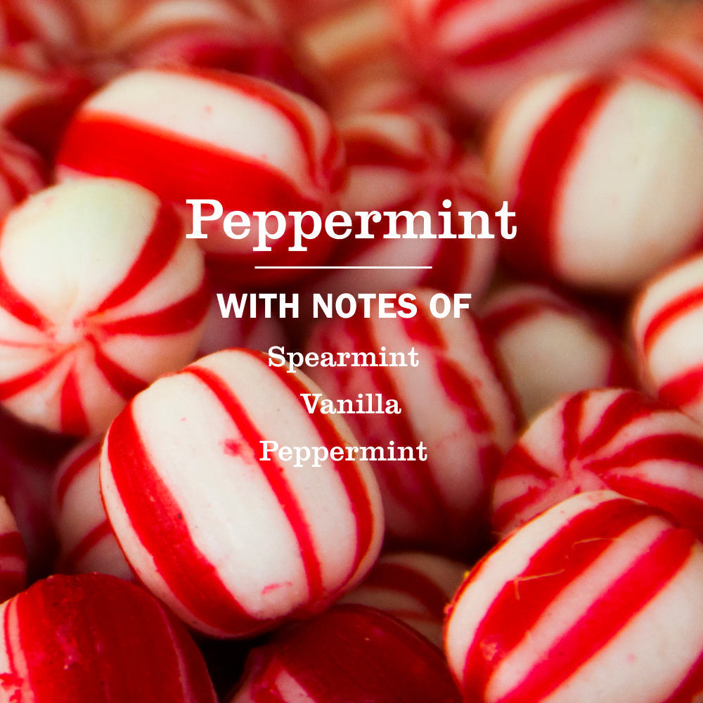 Mrs. Meyer's Peppermint Liquid Hand Soap 3-count Bundle