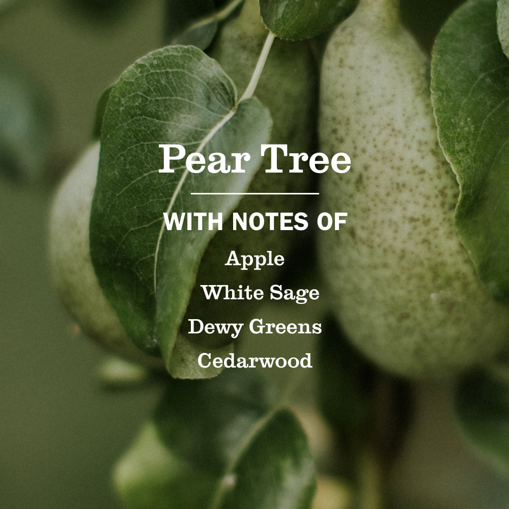 Pear Tree Room Freshener | Mrs. Meyer's
